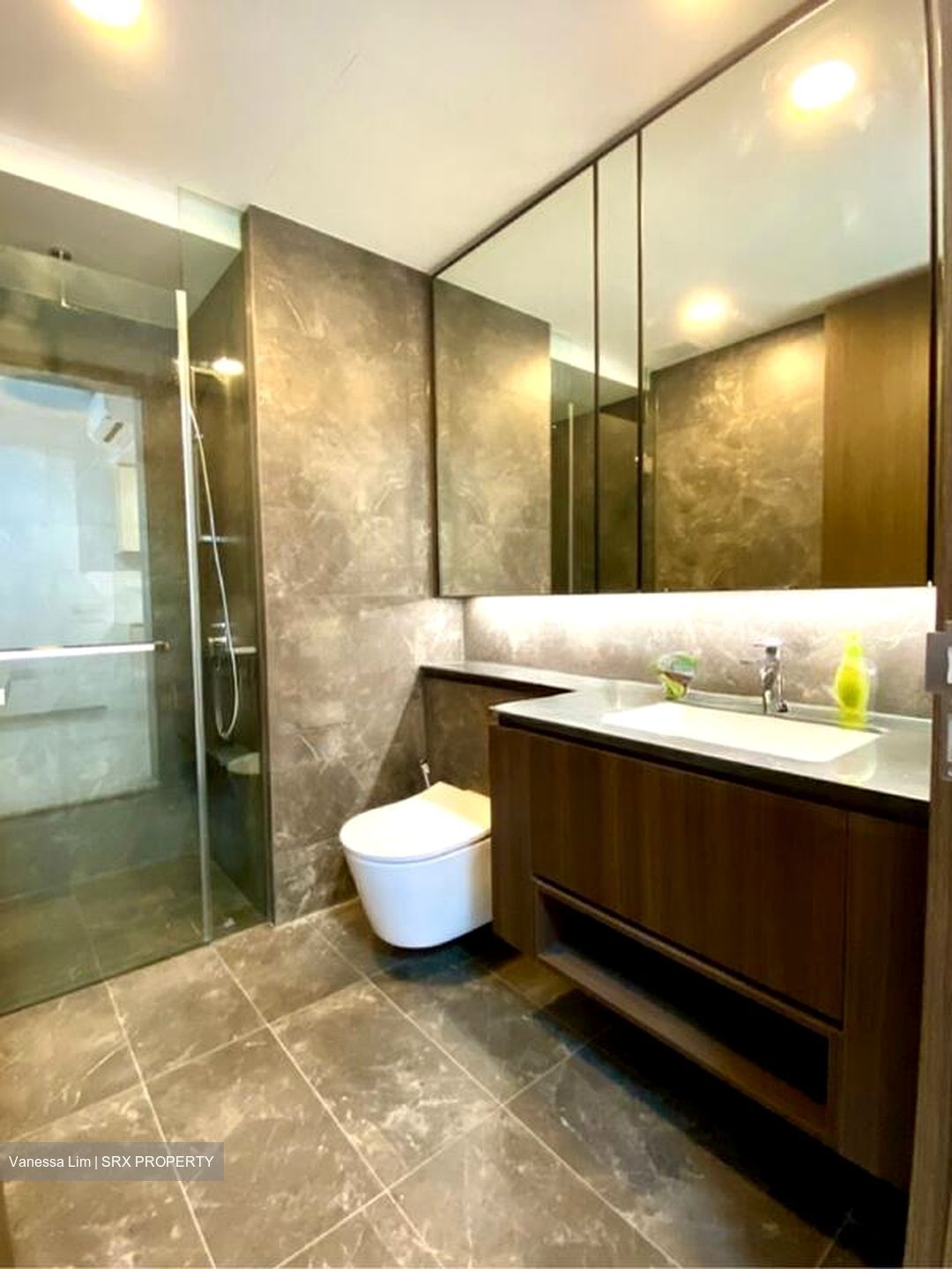 Kopar At Newton (D9), Apartment #585006901